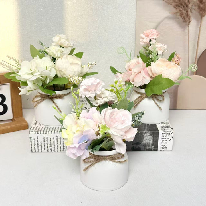 Decorative Ceramic Pot for Home Plant Display