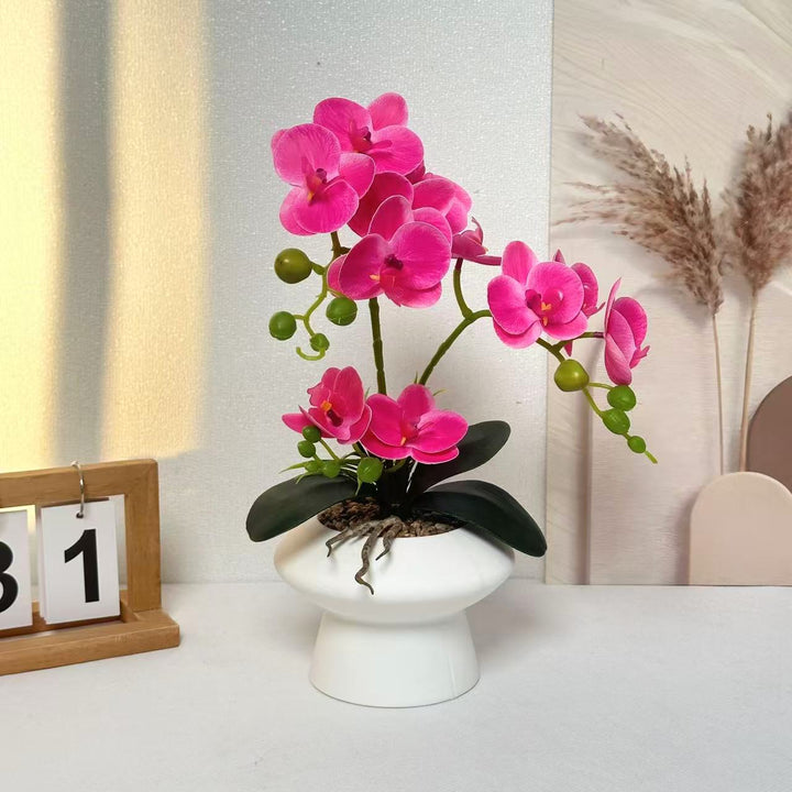 Decorative Orchid Flower Arrangement for Home Display