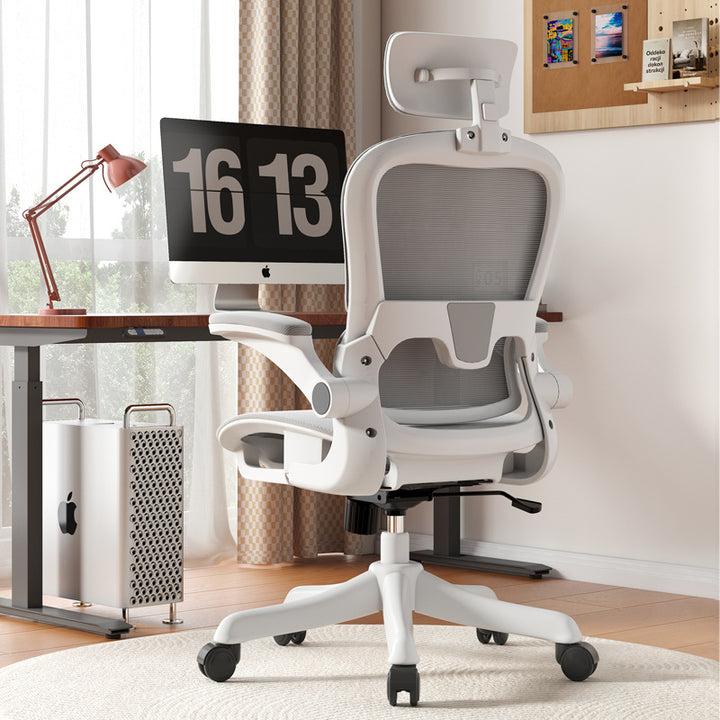 Ergonomic Office Chair Stornfield