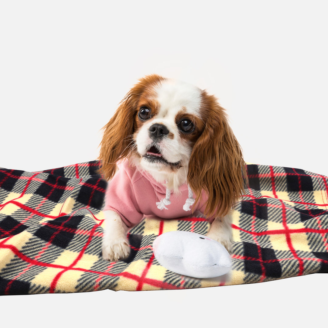 Women's cuddly blanket made of super soft microfiber fabric Stornfield