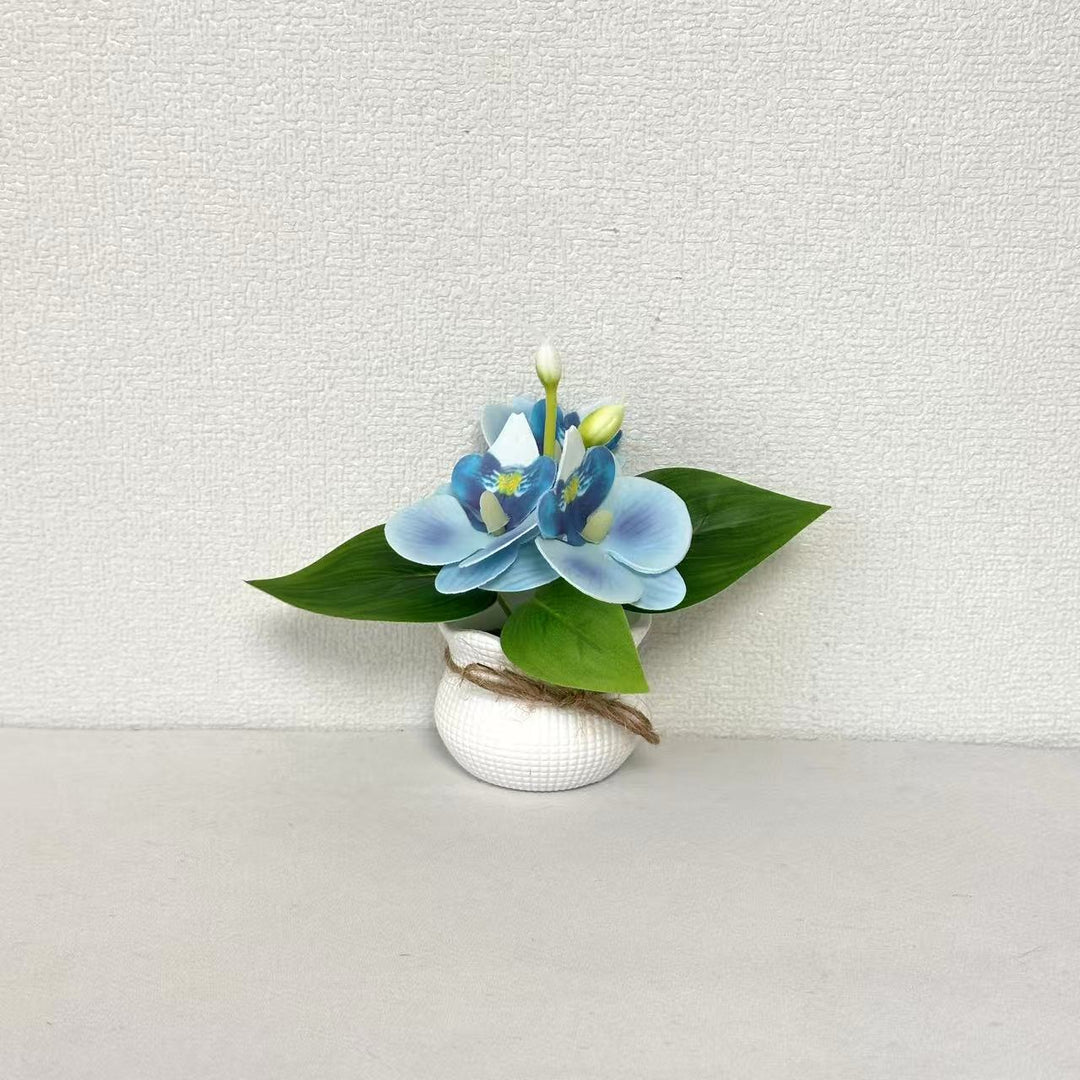 Decorative Miniature Orchid Arrangement