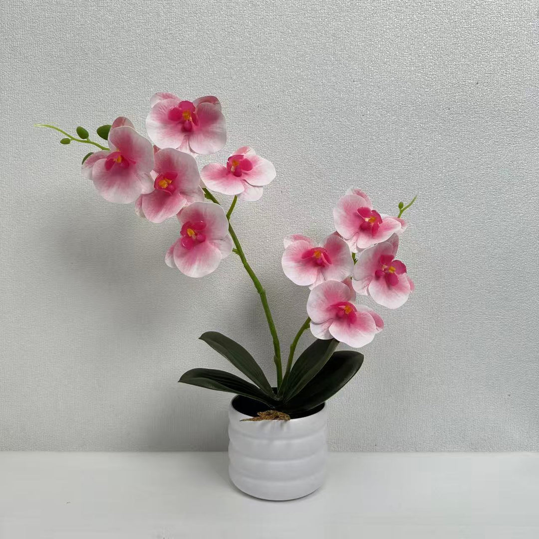Lifelike Orchid Décor