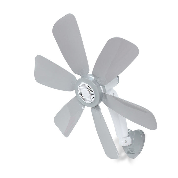 Ladies Wall Fan Stornfield
