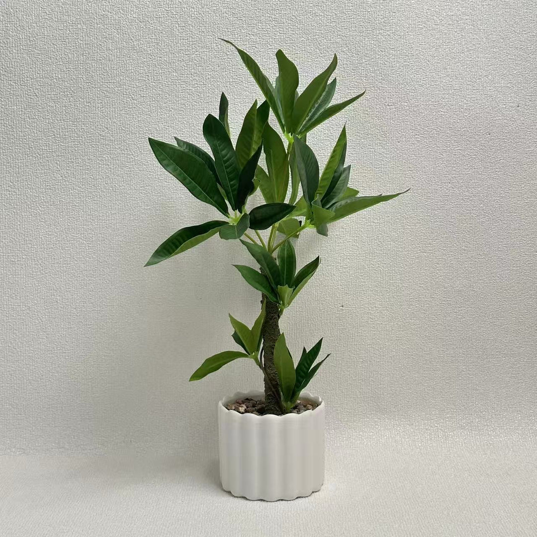 Decorative Potted Fern Plant for Home Decor Display