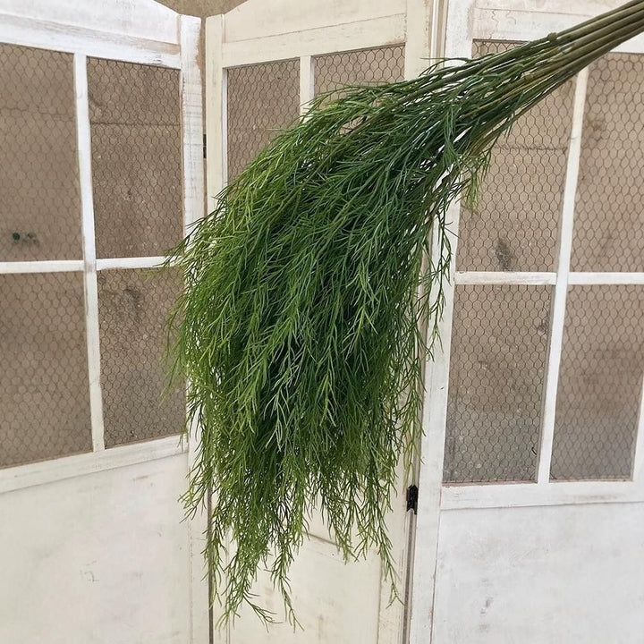 Lush Botanical Hanging Fern Decoration