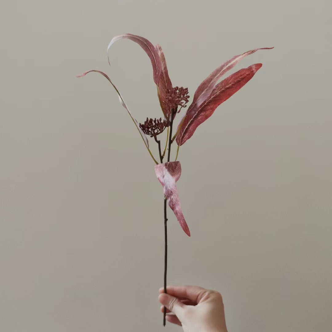Natural Dried Floral Stem