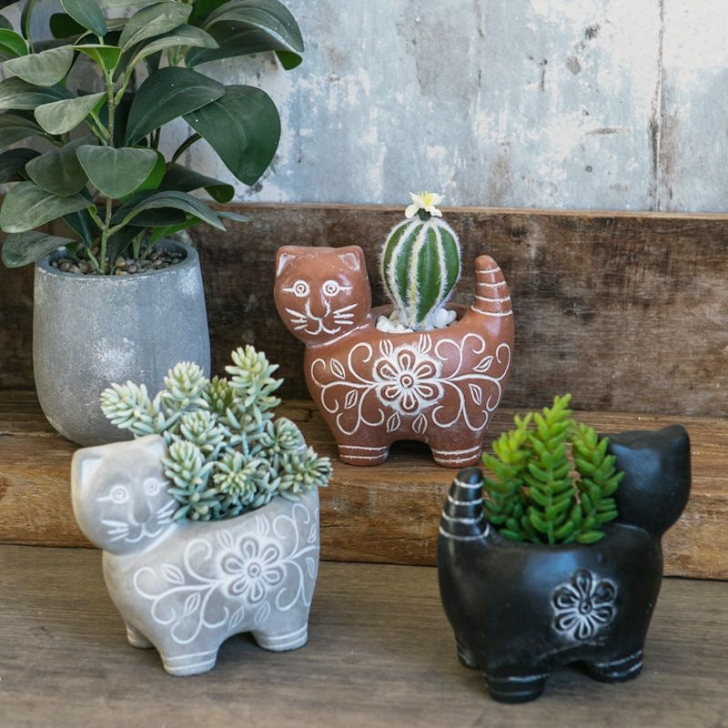 Decorative Plant Stornfield