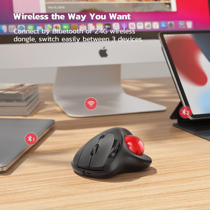 Ergonomic Trackball Mouse Stornfield