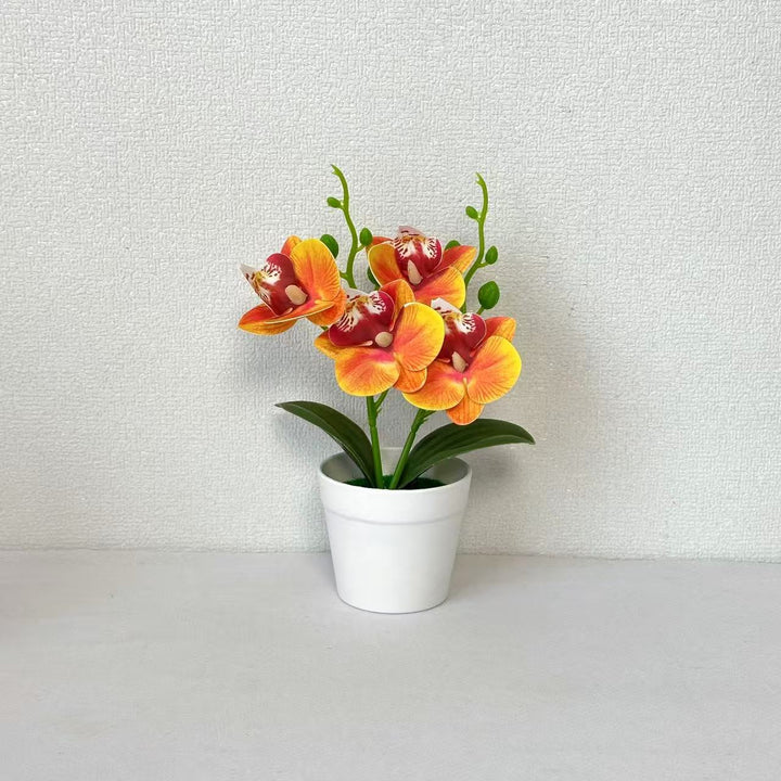 Elegant Decorative Orchid Floral Arrangement for Home Decor