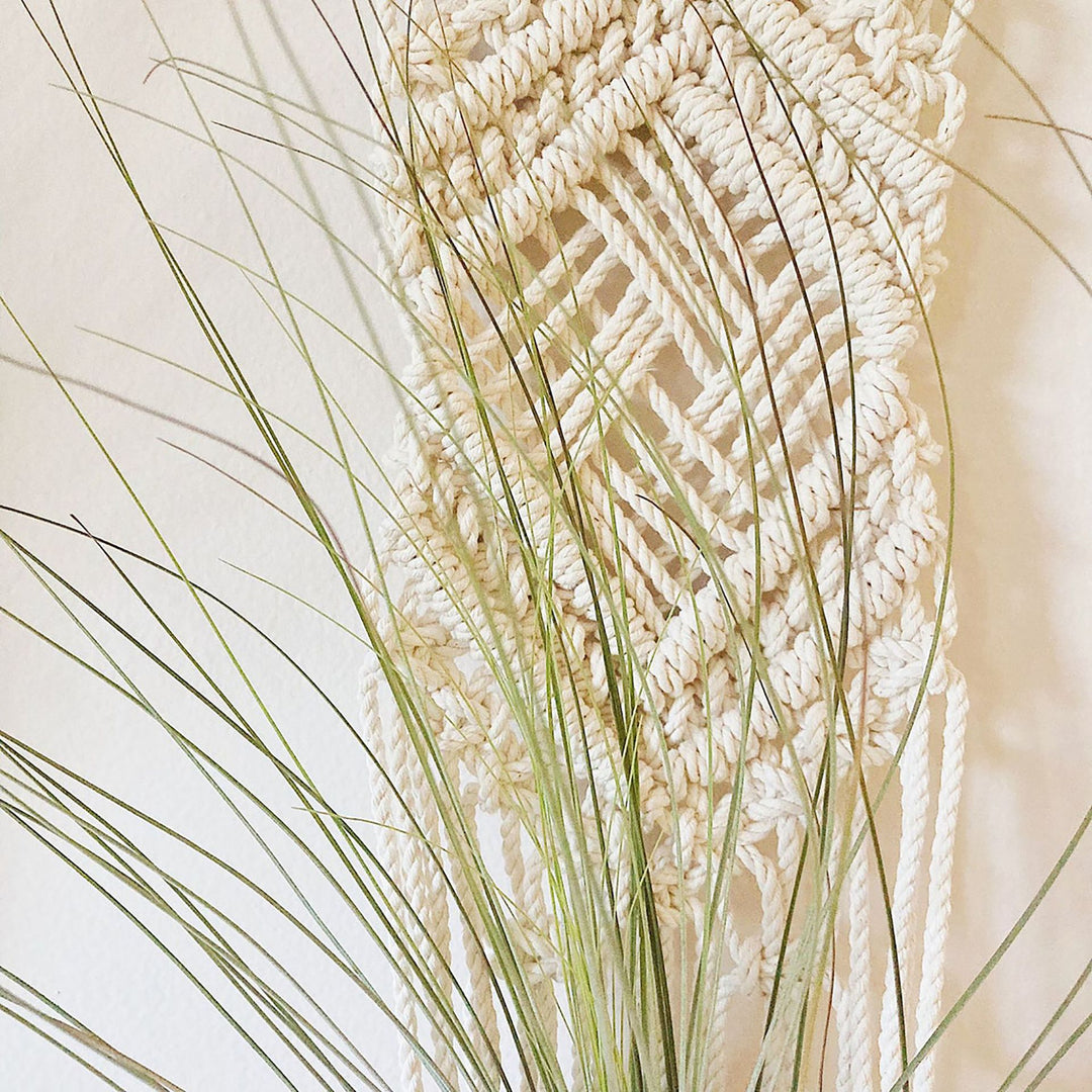 Macrame Wall Hanging Plant Holder Stornfield
