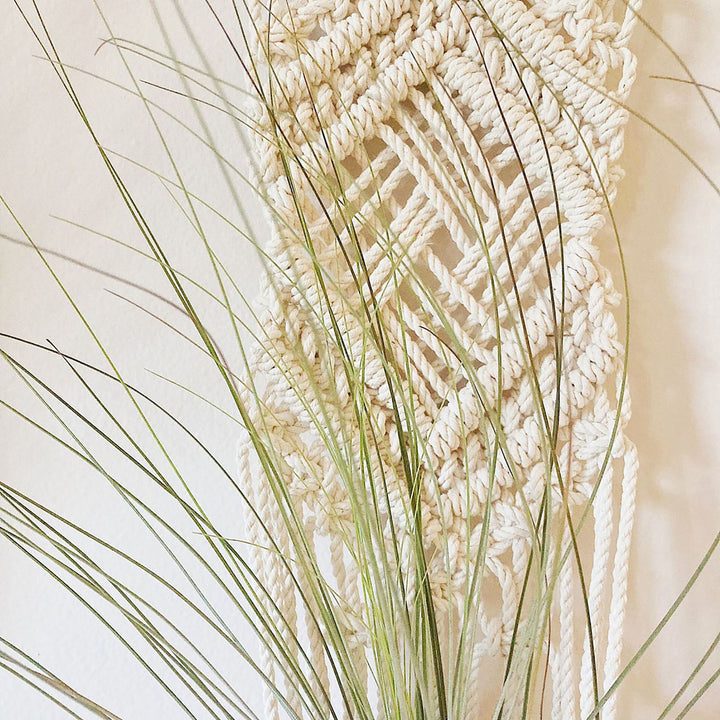 Macrame Wall Hanging Plant Holder Stornfield