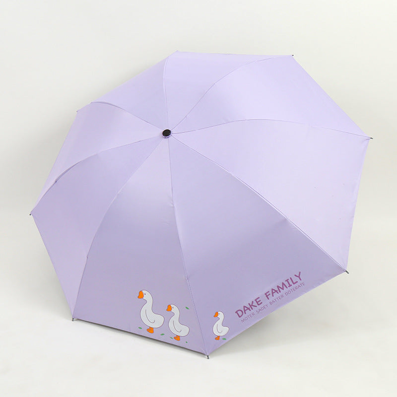 Ladies Umbrella Stornfield