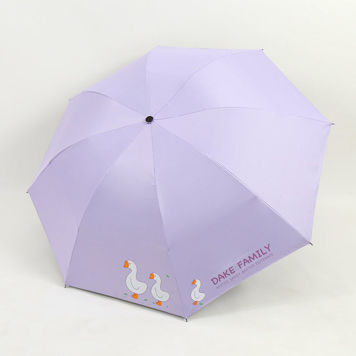 Ladies Umbrella Stornfield