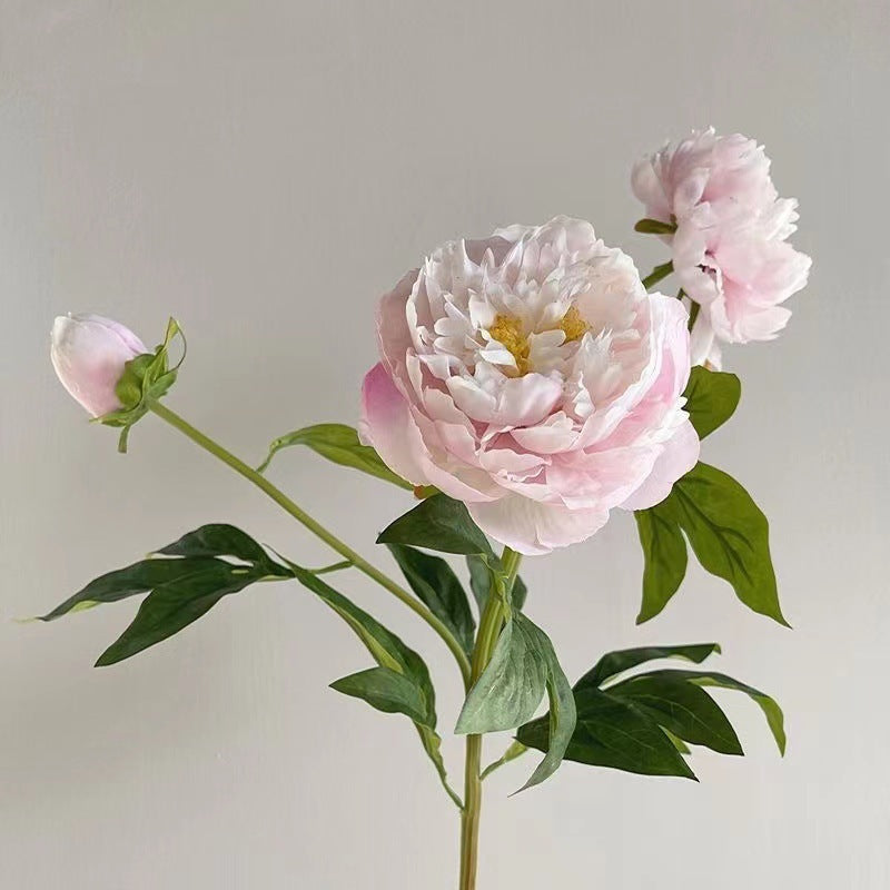 Faux Peony Floral Stem