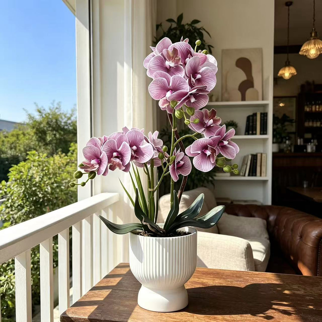Decorative Orchid Plant Arrangement 1790480695 for Decor