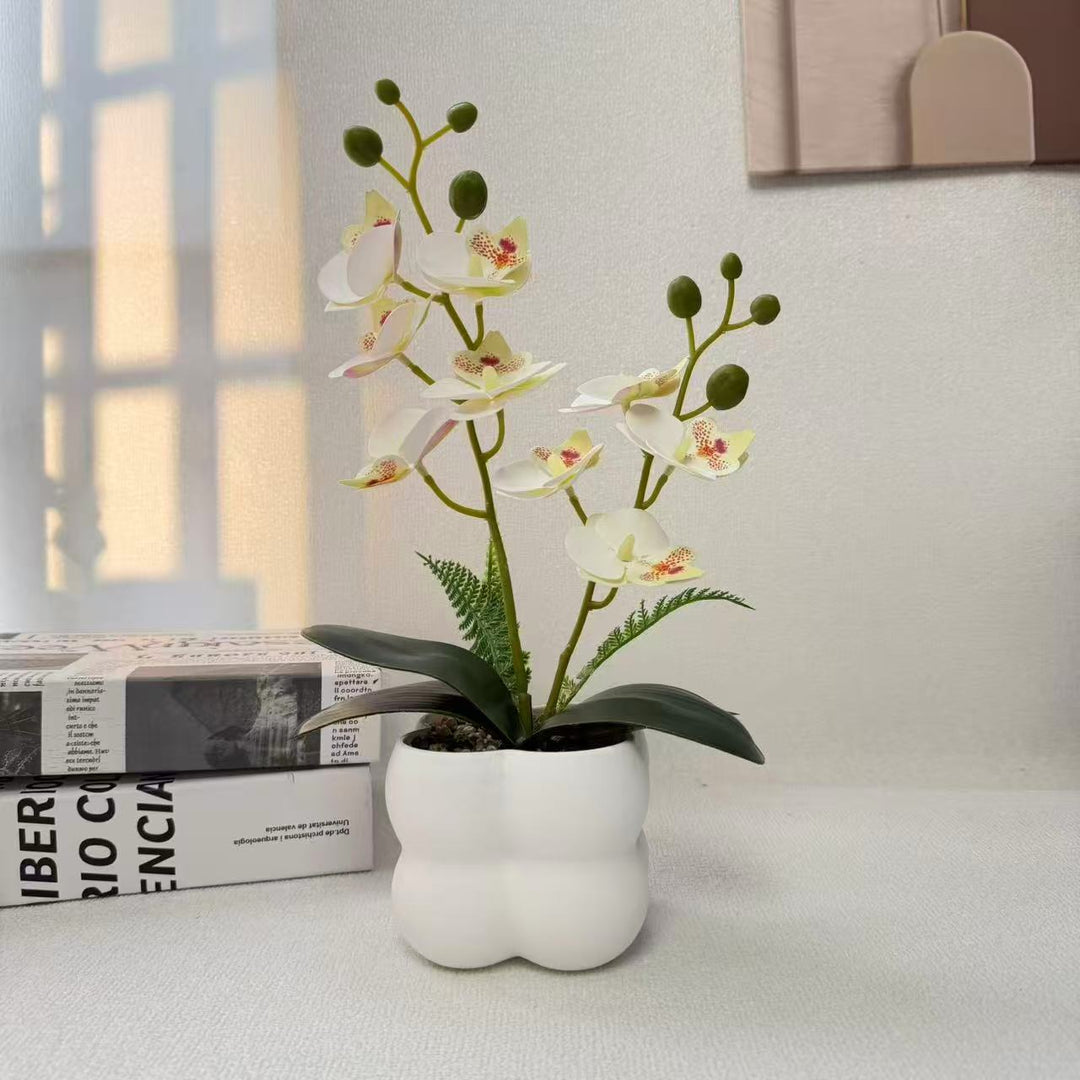 Decorative Artificial Orchid for Indoor Home Display