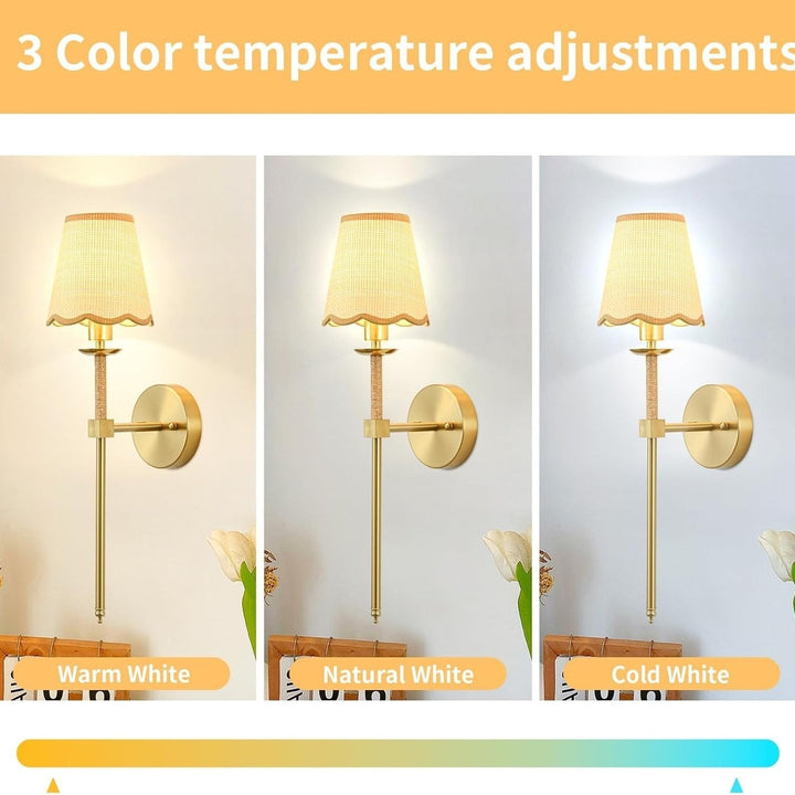 Elegant Wall Light