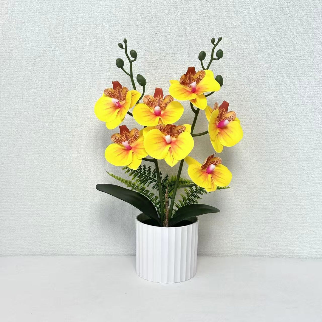Realistic Orchid Plant Arrangement