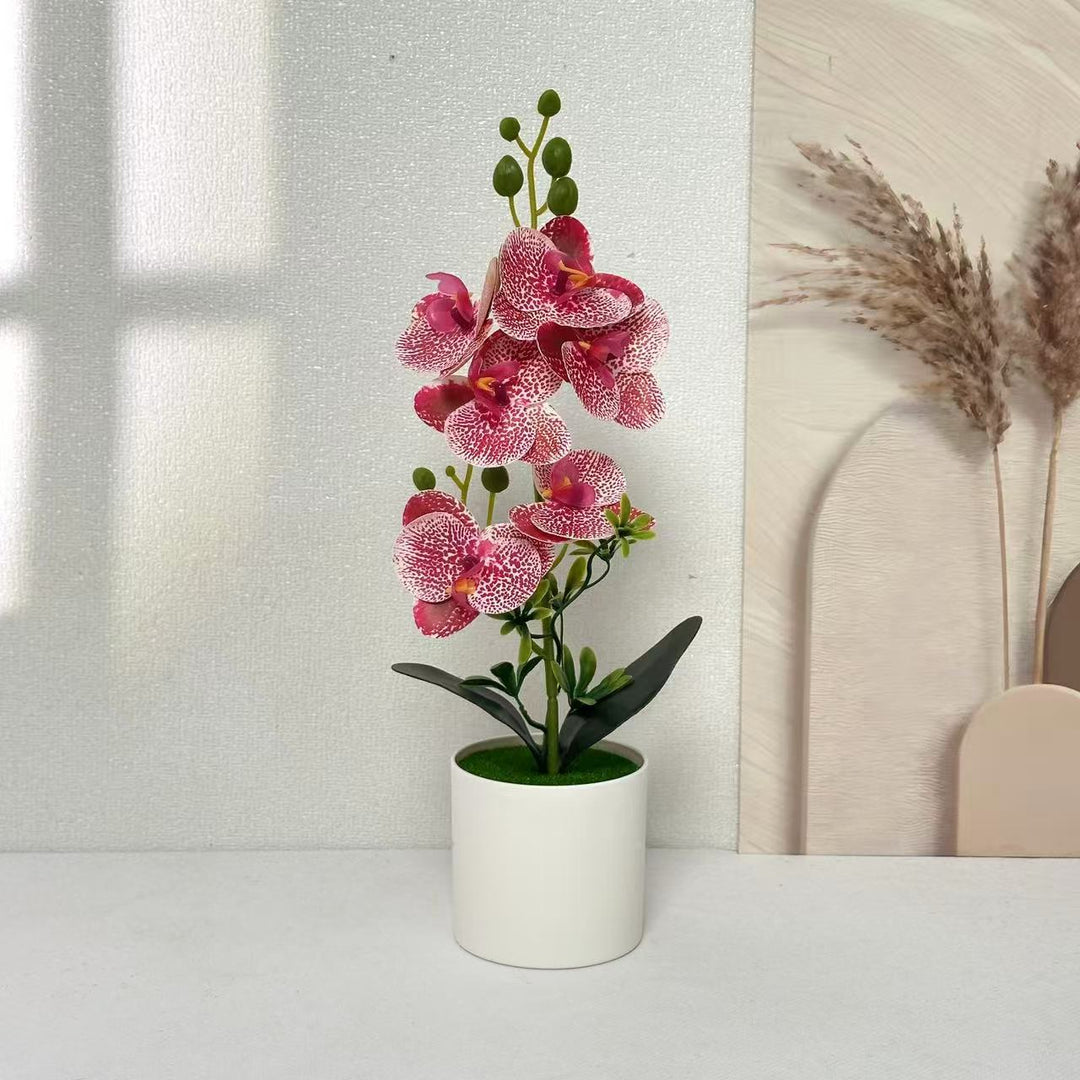 Elegant Orchid Floral Centerpiece