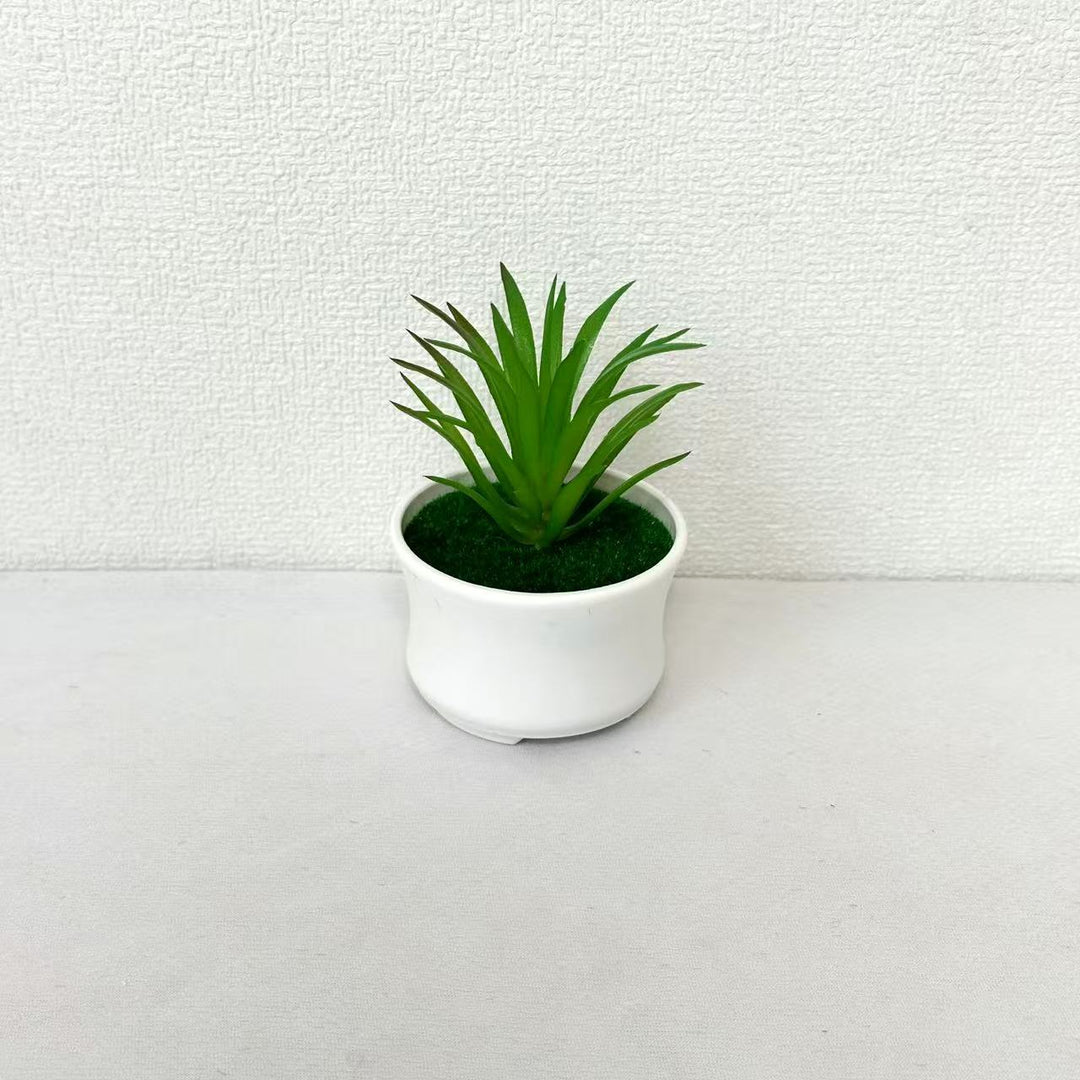 Lifelike Succulent Plant Arrangement