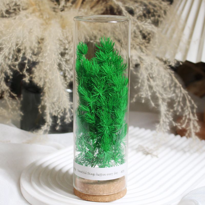 Preserved Flower Display in Elegant Glass Cylinder