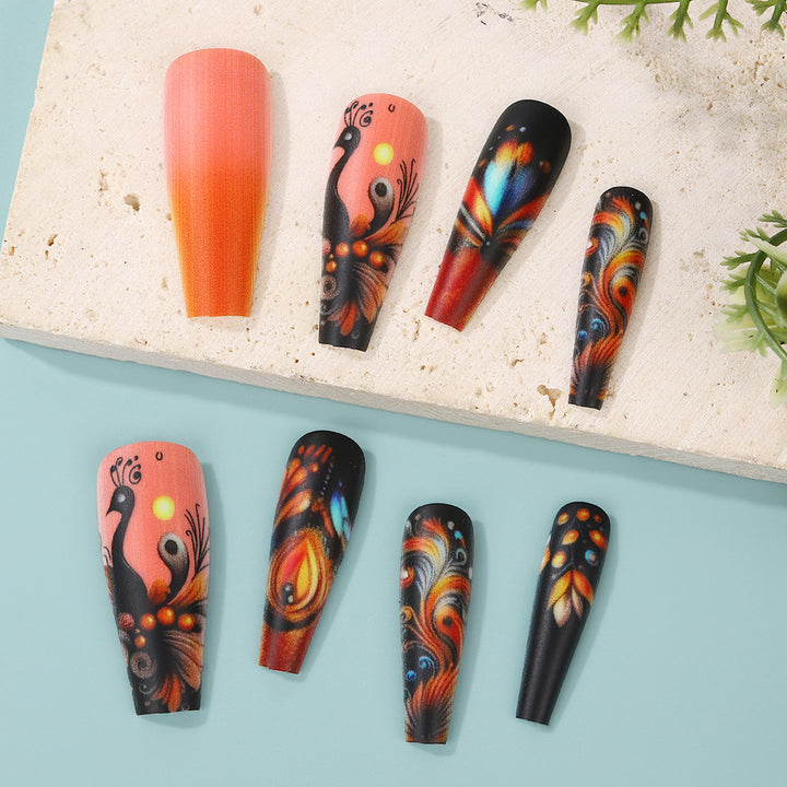 Creative Nail Art Set with Colorful Feather Designs Stornfield