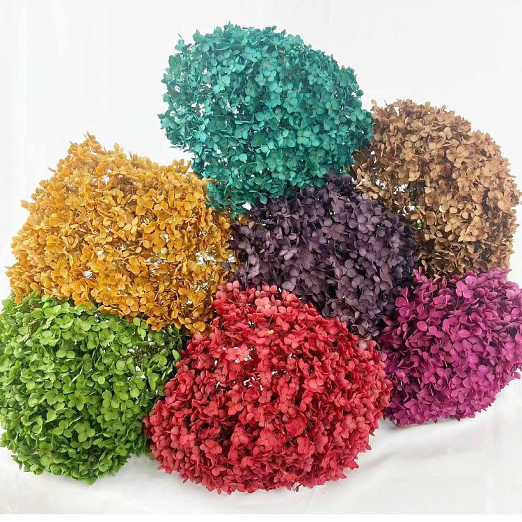 Dried Floral Petals