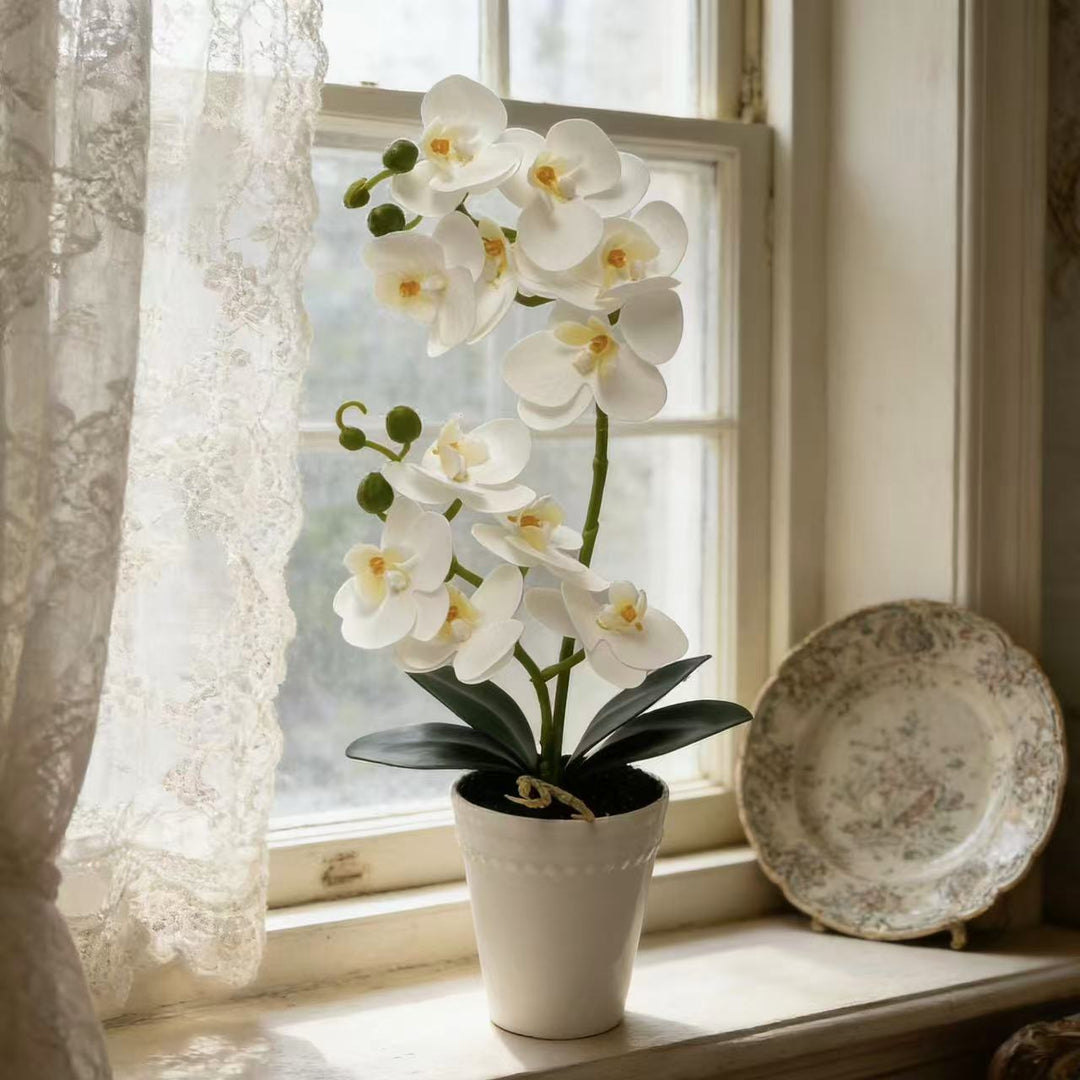 Elegant Faux Orchid Plant Display