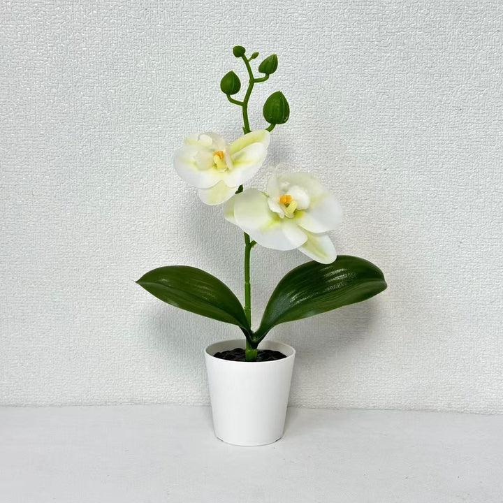 Decorative Artificial Orchid Plant for Indoor Home Decor