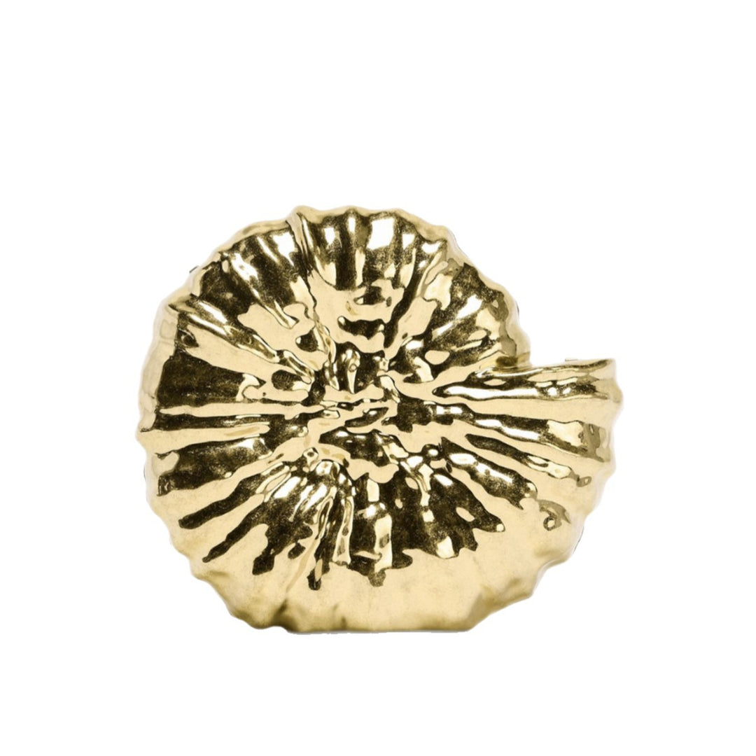 Metallic Shell Shaped