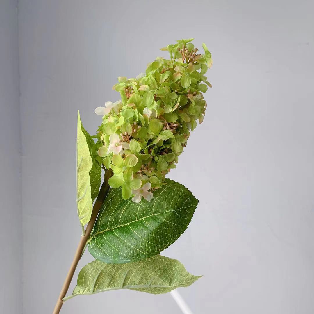 Realistic Hydrangea Stem