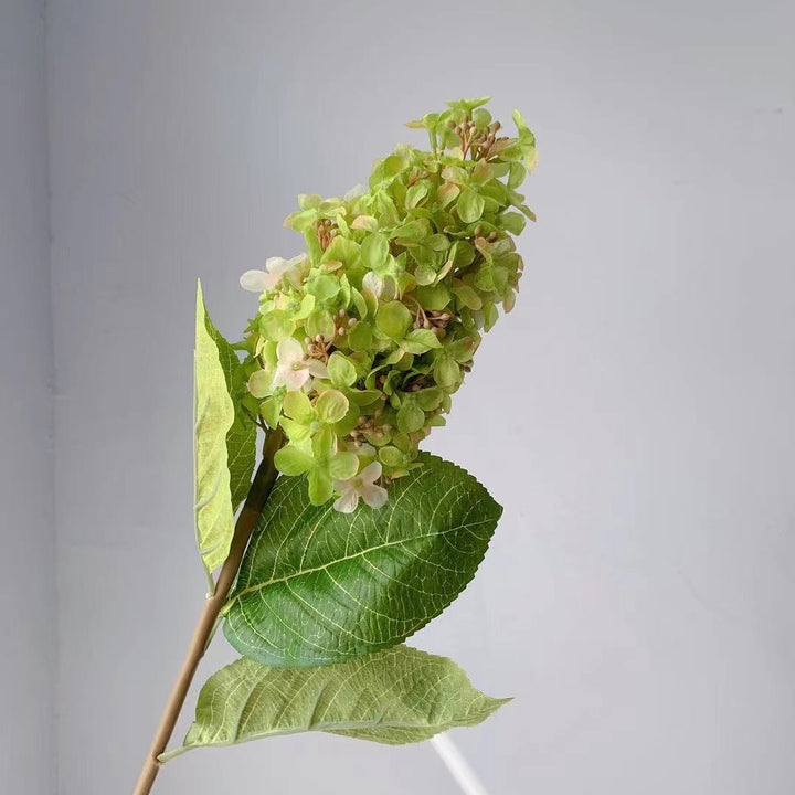 Realistic Hydrangea Stem