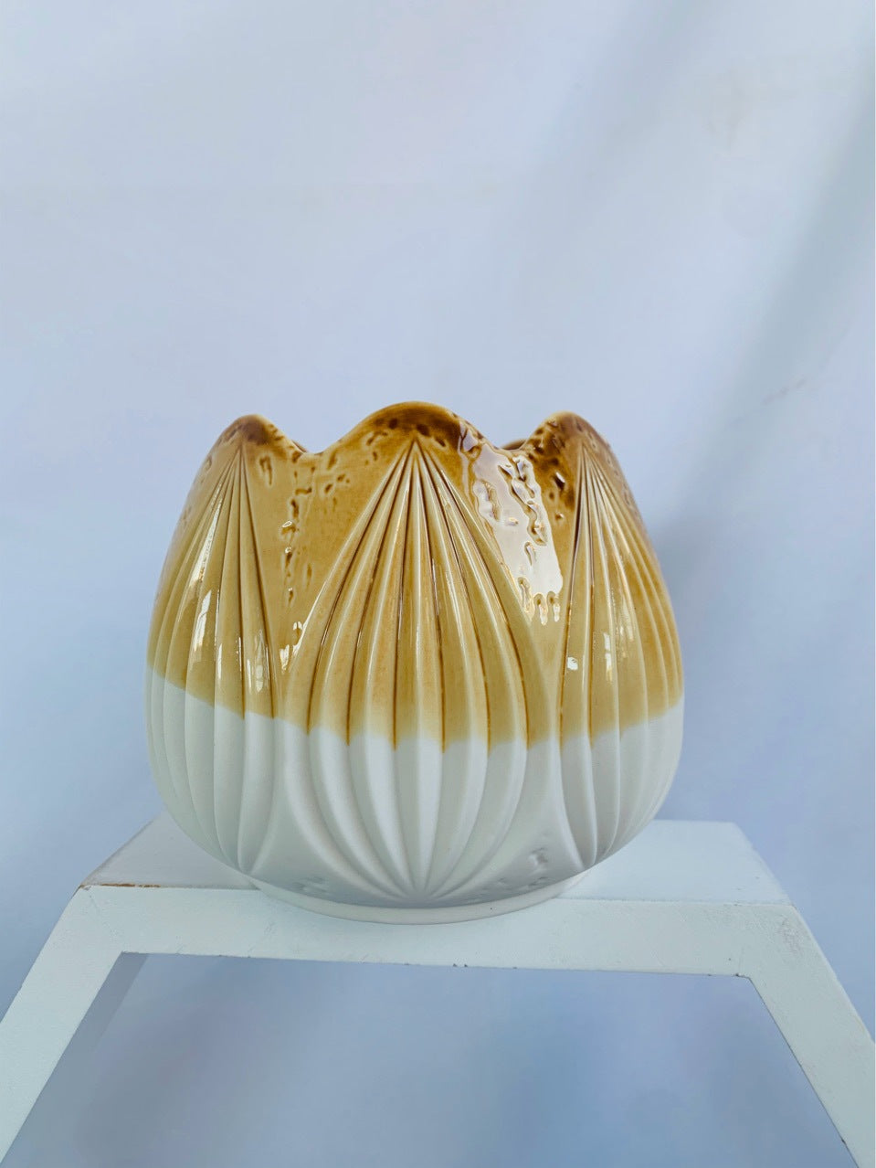 Decorative Ceramic Planter Stornfeild