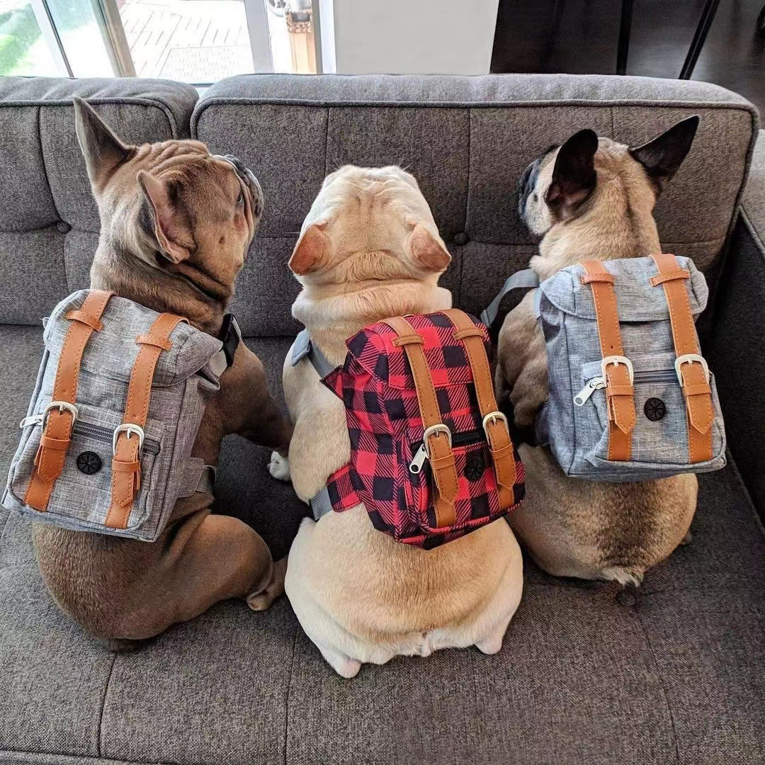 Unisex practical pet backpack with safety closure Stornfield