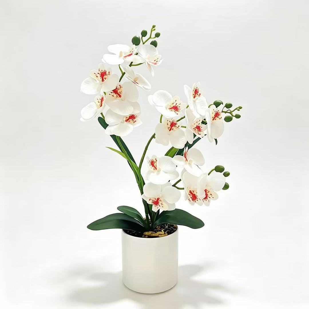 Lifelike Artificial Orchid Plant Arrangement for Decorative Decor