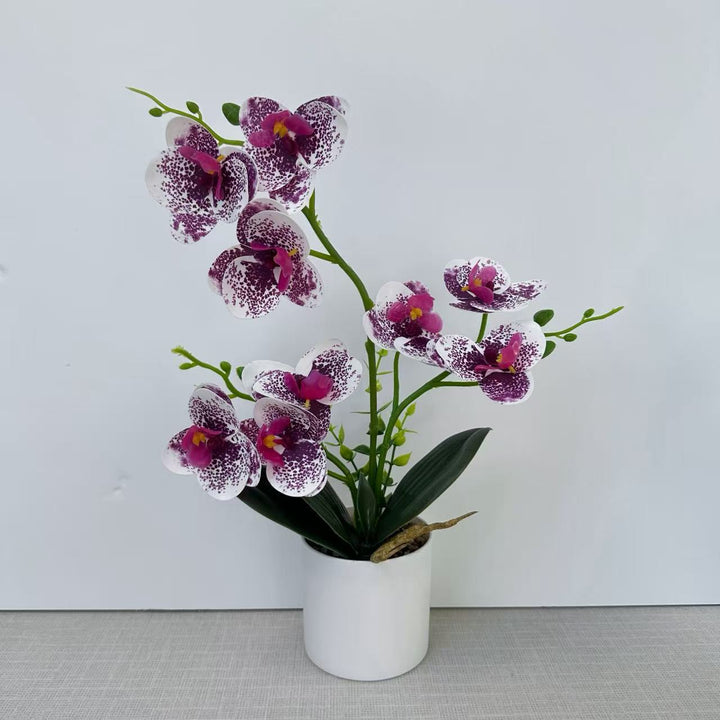 Decorative Orchid for Home Decor Display