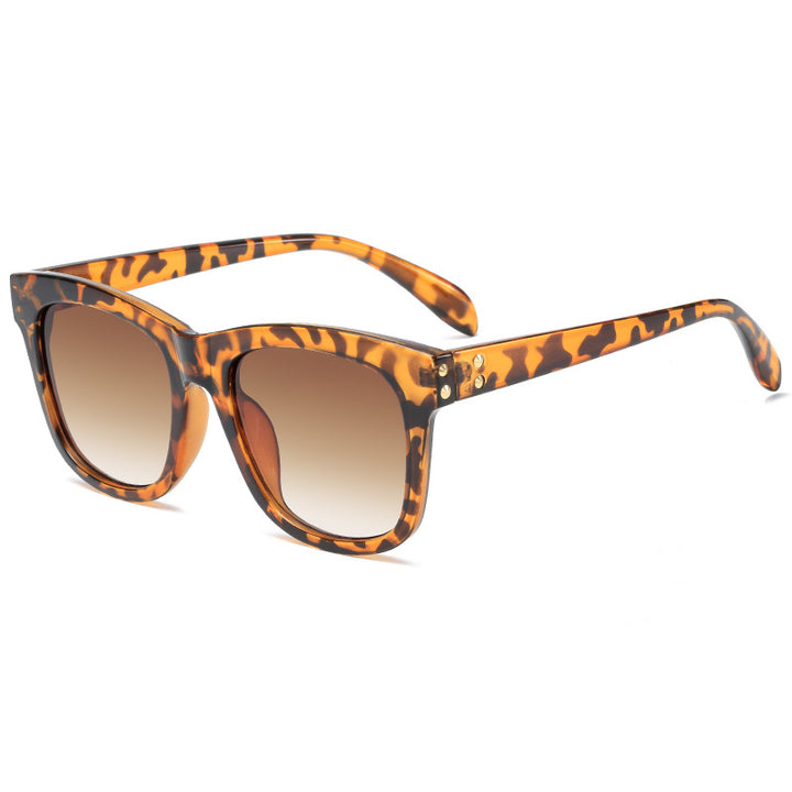 Ladies fashionable sunglasses in contemporary design Stornfield