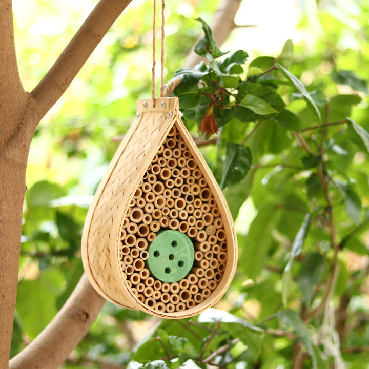 Eco-Friendly Insect Habitat Stornfield
