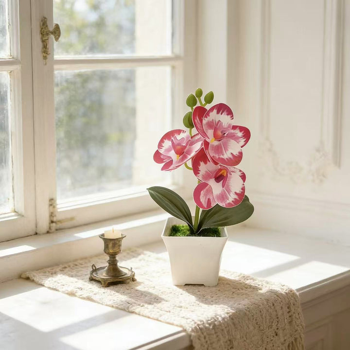 Realistic Artificial Orchid in Decorative Plant Pot for Decor
