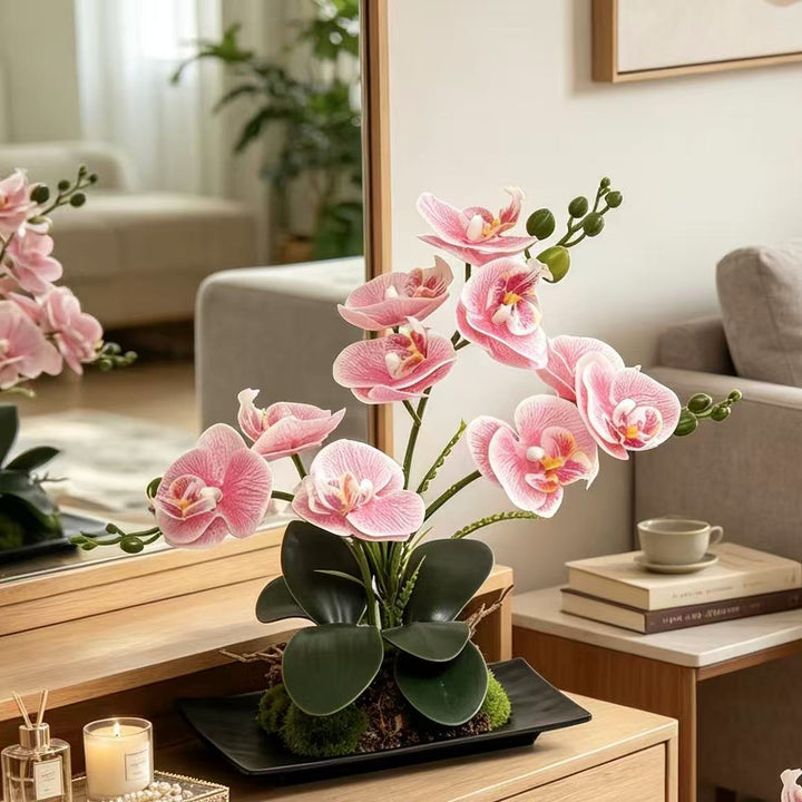 Orchid Flower Arrangement
