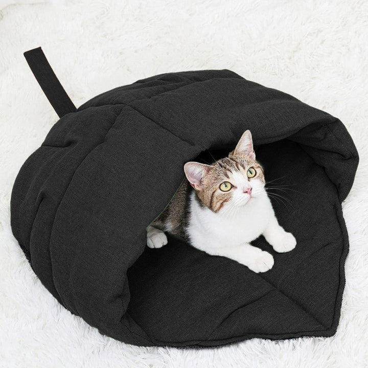 Cozy cat cave Stornfield