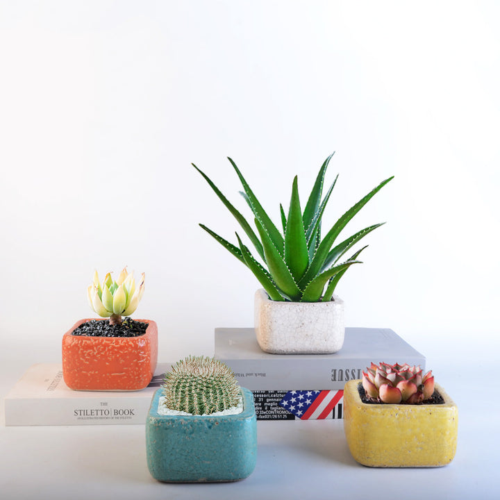Deko Pot Stornfield