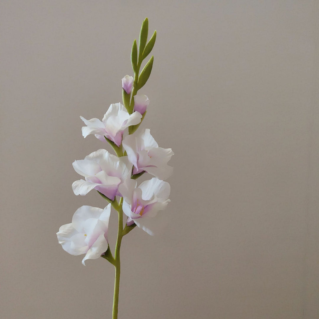 Orchid Floral Stem