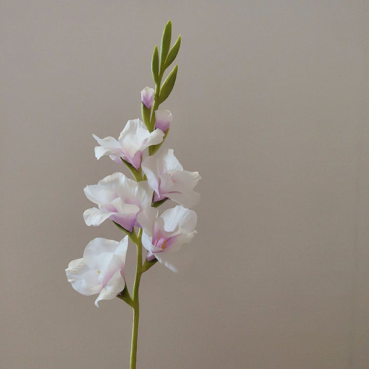 Orchid Floral Stem