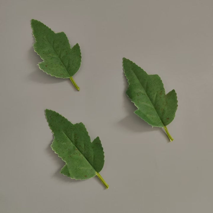 Realistic Decorative Leaf Stem