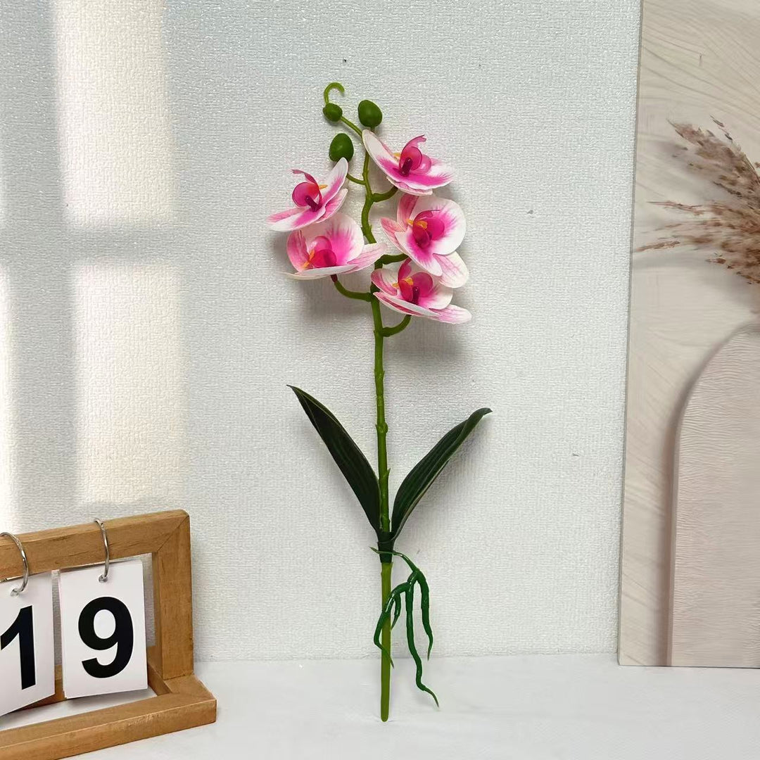 Realistic Faux Orchid Arrangement