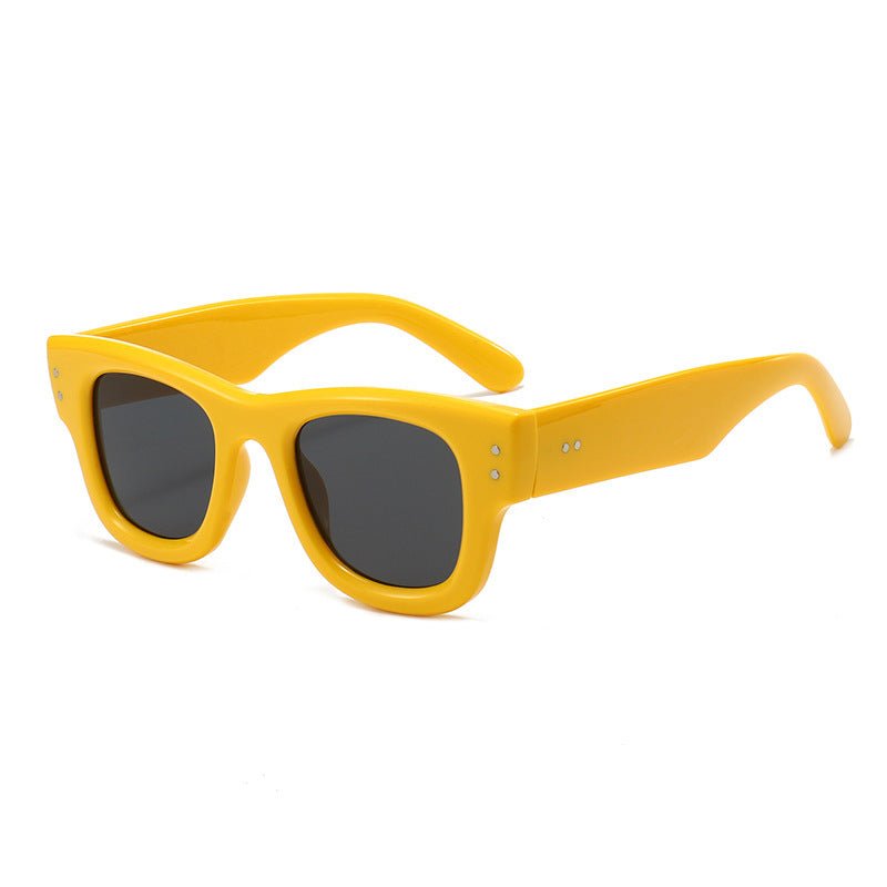 Retro-Influenced Bold Frame Sunglasses Stornfield