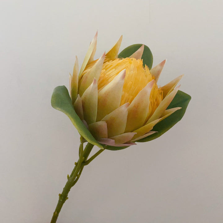 Lifelike Decorative Protea Flower Stem