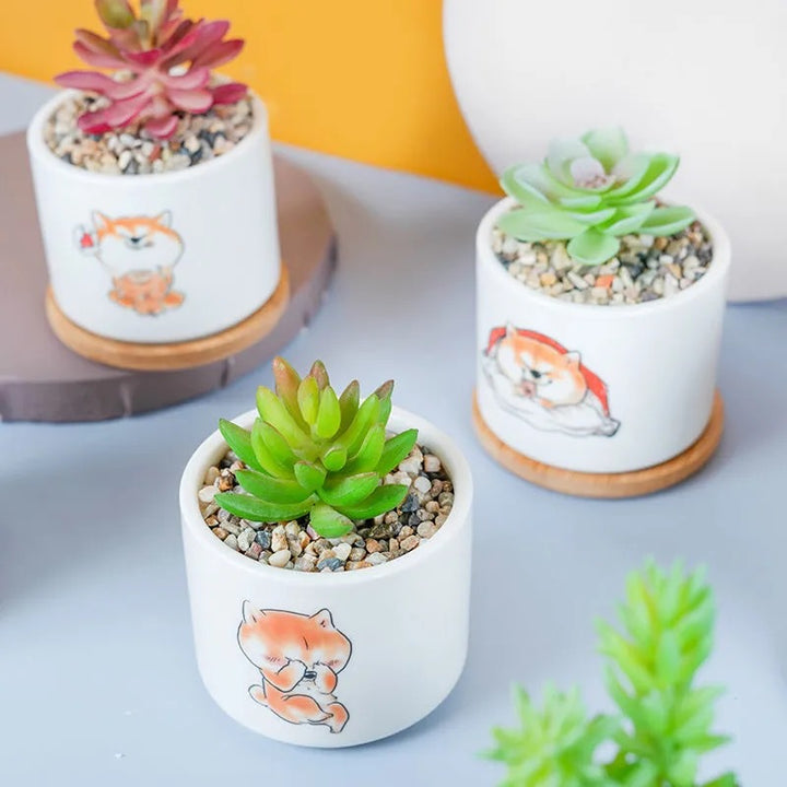 Cute Animal-Themed Succulent Planter Stornfeild