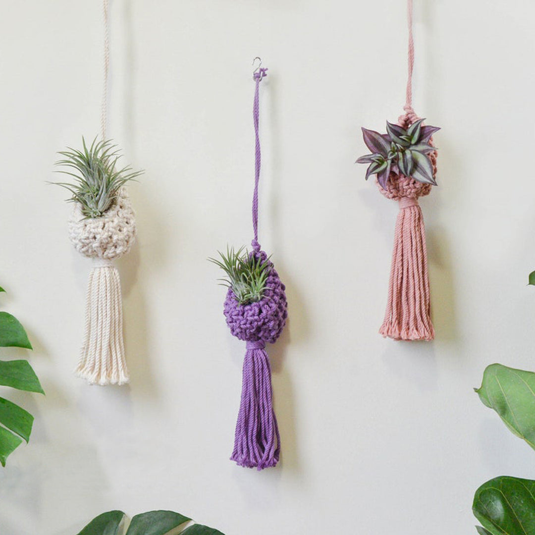 Macrame Hanging Plant Holder with Decorative Tassel Stornfield